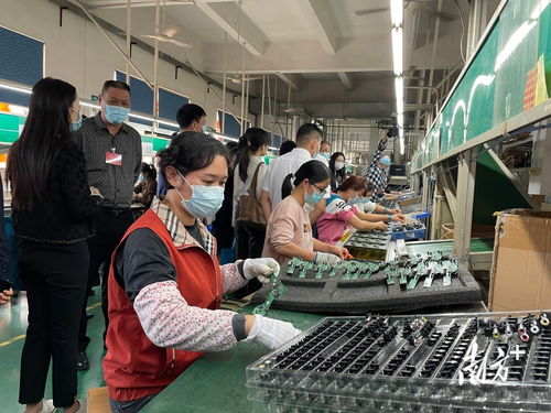 家門口學(xué)技能 就好業(yè)——中山持續(xù)派發(fā)就業(yè)服務(wù)大禮包，信息技術(shù)咨詢服務(wù)成亮點(diǎn)